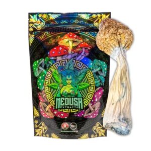 Penis Envy Magic Mushrooms|Medusa Extracts