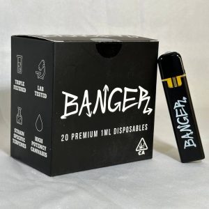 Banger 1g Disposable Vape Pen with concentrate