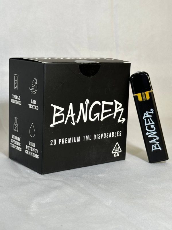 Banger 1g Disposable Vape Pen with concentrate