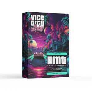 Vice City Labs 1mL DMT Vape Kit 800mg