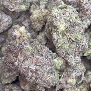 Candy Gas Gelato - Premium Hybrid Marijuana Bud