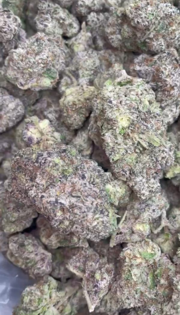 Candy Gas Gelato - Premium Hybrid Marijuana Bud