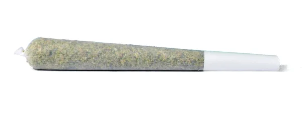 Fig Farms Figment 1g Pre-Roll 32.54% - Premium cannabis pre-roll with high potency