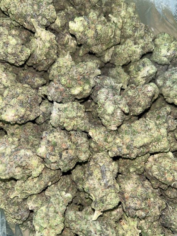 GMO cannabis strain flower with dense, frosty buds showcasing vibrant green and purple hues.