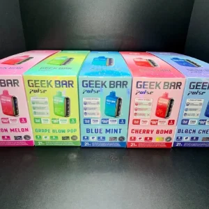 Geek Bar Disposable Vape - Premium flavored vape pen