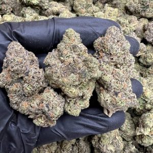 Rainbow Sherbet - Sweet and Potent Hybrid Marijuana Bud