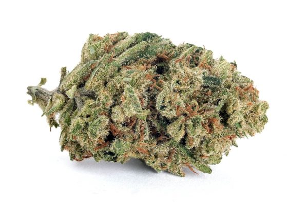 Terp Mansion Strawberry Jamz cannabis flower showcasing dense, frosty buds with vibrant red and green hues.