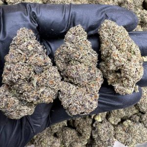 White Cherry Gelato cannabis flower with dense, frosty buds in vibrant green and purple hues.