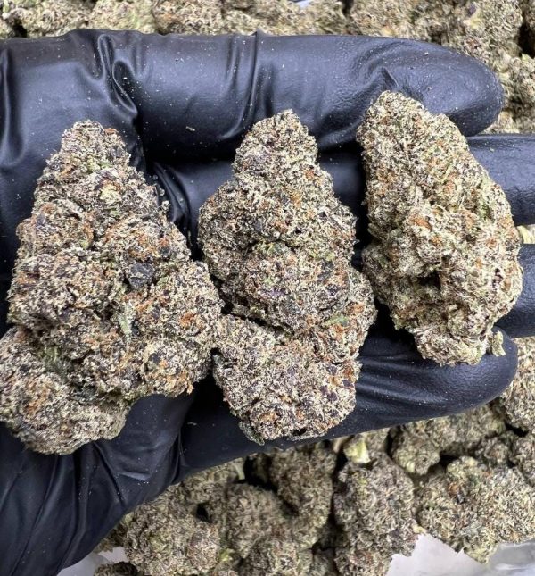 White Cherry Gelato cannabis flower with dense, frosty buds in vibrant green and purple hues.