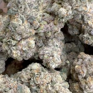 White Gummy cannabis flower with dense, frosty buds showcasing vibrant green and white hues.