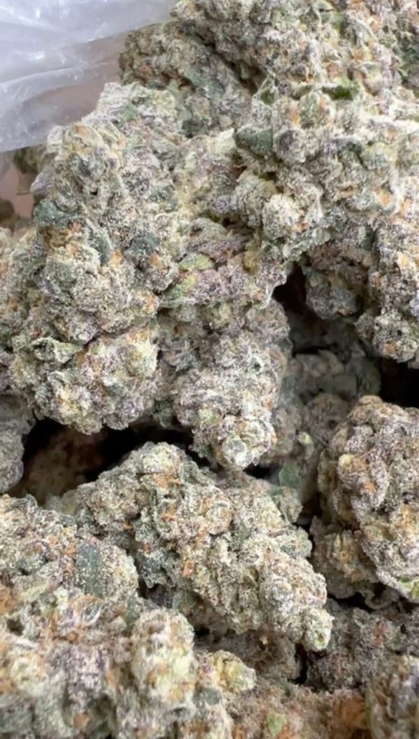 White Gummy cannabis flower with dense, frosty buds showcasing vibrant green and white hues.